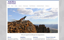 Akira Partners LLP website